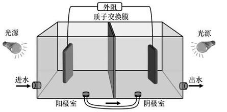  单室微生物燃料电池 用来处理污水的微生物燃料电池