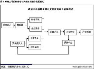  中国天使投资公司 中国网络为什么需要天使投资？