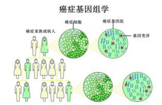  癌症治疗 数学治疗癌症？