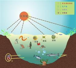  群星攻略扩大边界 第27节：第二节 企业生态链扩大能力边界外化(2)