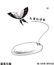  破茧化蝶的唯美句子 山西煤运如何“破茧化蝶”