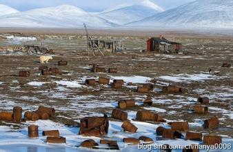  亲历北极：一个环境污染的“终点站”