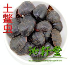  谁能成功：“土鳖”还是“海龟”？