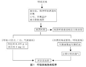  前置程序 前置程序去留困境