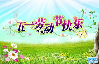  第5节：让我们快乐地去上班(5)