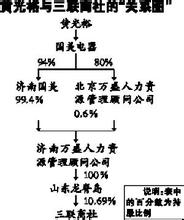  三联商社 国美 三联商社股权高溢价拍卖惹猜疑　神秘买家背后是国美