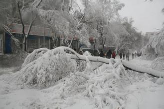  2008年南方雪灾 谁发了“雪灾财”