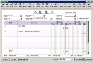  非独立核算的分支机构 简约，不简单——某集团非独立核算分支机构财务信息化实践