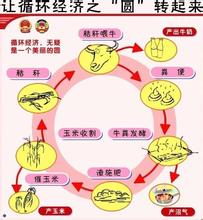  吉林经济职业技术学院 循环经济的吉林路径