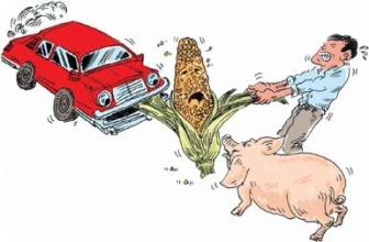  粮食对战争的重要性 汽车与猪的粮食战争