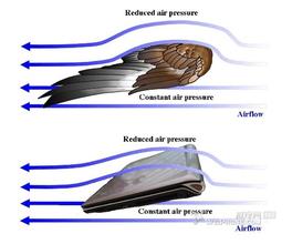 空气动力学学报 翅膀和空气动力学