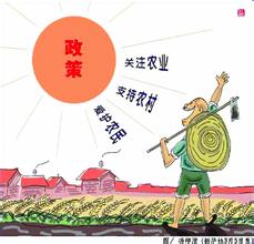  农村金融服务创新 农村金融的功能缺陷与制度创新