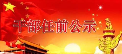  第61节：第8章最后冲刺：确定最佳人选(9)