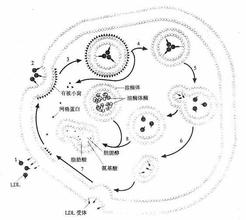  第48节：利用因特网帮你营建关系网(2)