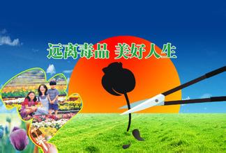  第50节：点缀美好人生