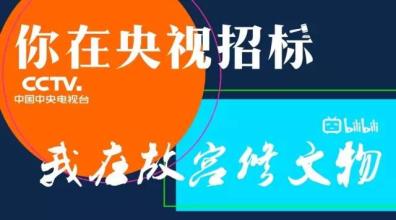  艰难时刻游戏 央视招标的第二个艰难时刻？