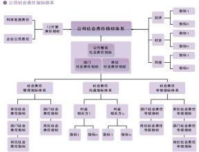  中国企业跨国并购案例 07/08跨国公司十大社会责任缺失案例