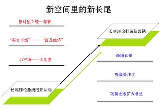  营销研究：再看“长尾理论”与网络时代的数字化营销