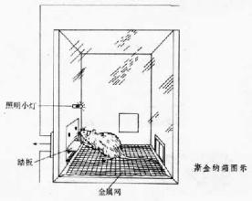  授课方法的心理学原理之二：斯金纳实验