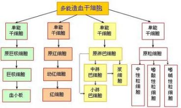  求知营销，学习的六种途径