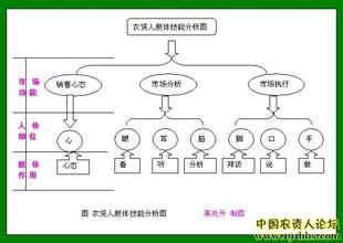  外贸业务员的成长手册 业务员成长技能