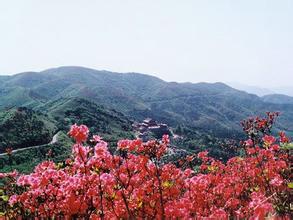  武汉个人整体形象设计 为“和”找个“家”——湖南省阳明山国家森林公园旅游整体形象策