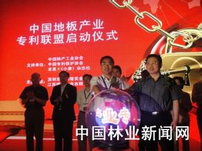  六大彩电巨头 中国彩电十巨头抱团对外 新专利公司成立