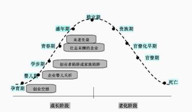  产品生命周期战略 企业不同生命周期的财务战略