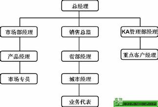  中小企业薪酬体系设计 如何设计中小企业的营销组织体系