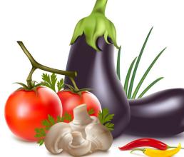  “蔬菜大王”的创业之路:跟着“胃觉”走