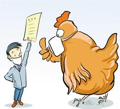  鸡禽流感治疗 直面禽流感 无须“谈鸡色变”