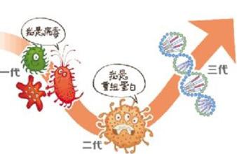  高致病性禽流感疫苗 跨国企业赶制禽流感疫苗 国内企业反应慢