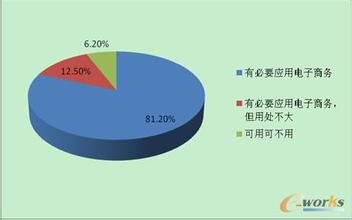  电子商务网络营销论文 白酒营销与电子商务