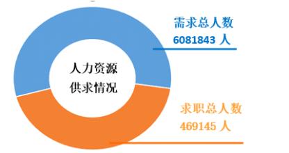  社会弱势群体 当前弱势就业群体的构成分析