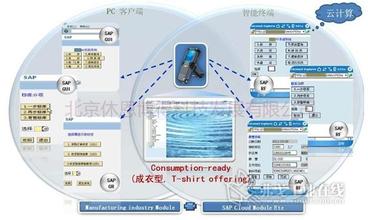  信息系统审计师 信息系统审计师和SAP实施与控制