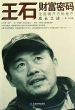 19天火之谜ppt 万科19年持续成长之谜