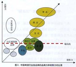  赢在销售力 啤酒品牌如何产生销售力