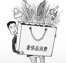  中国本土化妆品品牌 品牌中国化