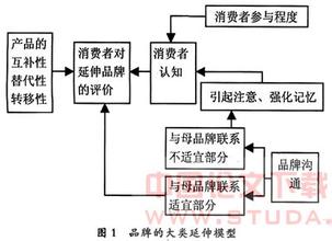  为宝洁品牌战略把脉：品牌延伸是一把双刃剑