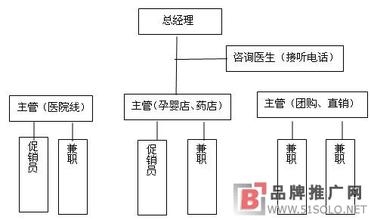  品牌策划市场分析 A品牌淮安市场策划实录