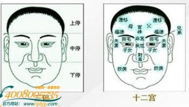  了解消费者，脂肪可以变钱财