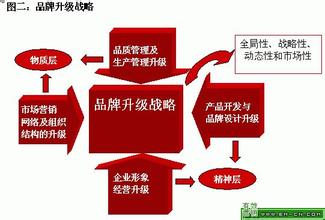  交叉营销的战略选择