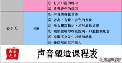  塑造专业的声音