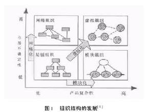  什么是虚拟组织论？