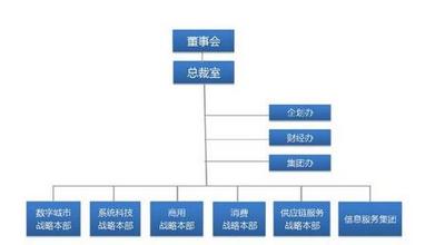  神州数码多元化受阻 业务调整回归分销老路？