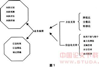  集团公司异地经营财务风险防范初探