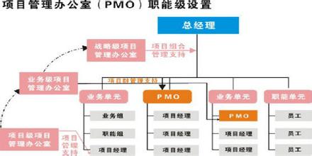  项目管理的突破性成就出现在20世纪50年代