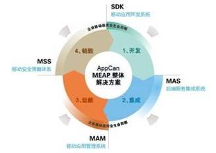  中国企业在战略和执行两个方面哪个更弱