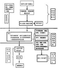  组织管理模式的进化历程