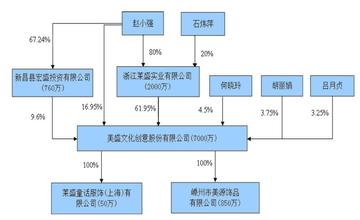  股权结构：更优先于公司战略